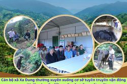 Xa Dung đưa Nghị quyết vào cuộc sống