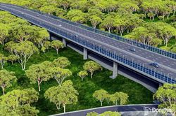 Tuyến đường đi xuyên rừng nguyên sinh đặc biệt