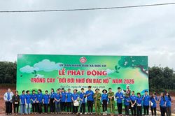 Đức Cơ phấn đấu trồng 34.000 cây xanh phân tán