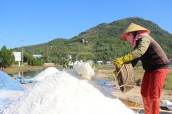 Gia Lai: Hơn 7.580 tấn muối còn tồn trong dân