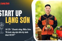 Start-up Lạng Sơn số 29: 'Chanh rừng Mẫu Sơn: Từ loài cây dại đến hệ sinh thái OCOP'