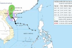 Tin b&atilde;o khẩn cấp cơn b&atilde;o số 1 ng&agrave;y 04/07/2026: Gi&oacute; giật cấp 11, Đ&ocirc;ng Bắc Bộ mưa đến 500mm