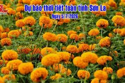 Dự báo thời tiết toàn tỉnh Sơn La ngày 5/7/2026