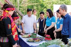Gieo mầm xanh nơi bản Phúc Lộc