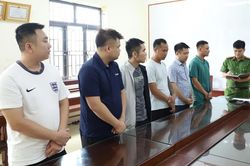 Ninh Bình: Triệt phá đường dây cá độ bóng đá qua mạng hơn 900 tỷ đồng