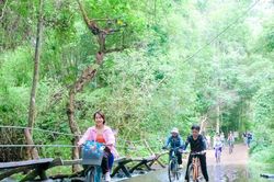 QUỸ NÔNG NGHIỆP VÀ MÔI TRƯỜNG TP. ĐỒNG NAI ĐẨY MẠNH PHÁT TRIỂN RỪNG Giữ màu xanh, khai phá tiềm năng kinh tế rừng