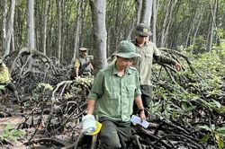 QUỸ NÔNG NGHIỆP VÀ MÔI TRƯỜNG TP. ĐỒNG NAI ĐẨY MẠNH PHÁT TRIỂN RỪNG Bảo vệ và phát triển rừng bền vững từ nguồn Quỹ Dịch vụ môi trường rừng