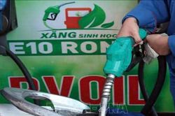 Tổng lượng tiêu thụ xăng sinh học đạt hơn 1 tỷ lít trong tháng 6/2026