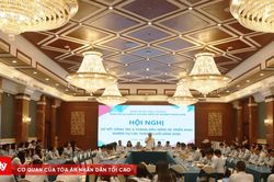 Phát huy vai trò của Cục Quản lý và phát triển thị trường trong nước