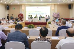 Bảo tồn bản sắc văn hóa trong quy hoạch đô thị - nông thôn