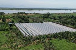 Tạo hành lang pháp lý khai thác hiệu quả quỹ đất bãi sông
