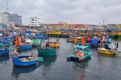 Không cấp phép tàu thuyền vào vùng nguy hiểm