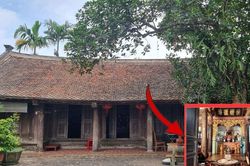 Các cụ nói: 'Phòng khách không treo tranh tổ tiên, trong vườn không dựng lang nha bổng', lang nha bổng là thứ gì?