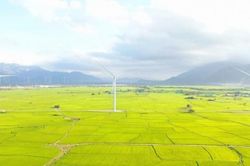 Giảm phát thải và loại bỏ khí nhà kính - Đột phá chiến lược để đạt được mục tiêu Net Zero