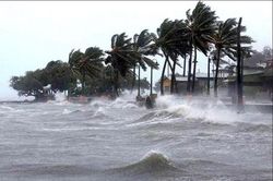 Bão số 1 Maysak giật cấp 11 trên khu vực ven biển Quảng Ninh, biển động rất mạnh