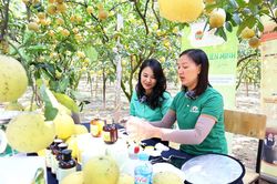 Phát triển nông nghiệp xanh nâng tầm kinh tế nông thôn