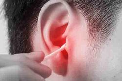 C&ocirc;n tr&ugrave;ng chui v&agrave;o tai, xử tr&iacute; sai c&oacute; thể g&acirc;y tổn thương th&iacute;nh lực