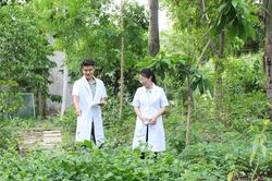 Giữa TPHCM có một 'kho báu' cây thuốc ít người biết