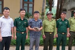 Lo&agrave;i động vật qu&yacute; hiếm bọc gi&aacute;p đầy m&igrave;nh lạc v&agrave;o nh&agrave; d&acirc;n