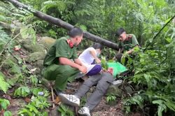 Kịp thời cứu một nam du khách bị kiệt sức trong rừng Tây Yên Tử