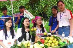 Phải công khai quy chế livestream bán hàng trên nền tảng thương mại điện tử
