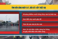 [Video] B&atilde;o số 1 g&acirc;y thiệt hại tại M&oacute;ng C&aacute;i, h&agrave;ng chục nh&agrave; tốc m&aacute;i, h&agrave;ng trăm c&acirc;y xanh g&atilde;y đổ