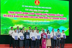 Phát triển nguồn nhân lực trong lĩnh vực STEM, Robotics và trí tuệ nhân tạo