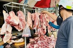 Giá heo hơi hôm nay 5/7: Mức độ giảm chậm lại, vùng giá giao dịch đứng yên từ 60.000 - 66.000 đồng/kg