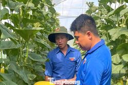 Bắt đất 'đẻ' ra tiền
