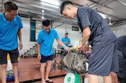 Chủ khách sạn ở Cô Tô mổ lợn rừng đãi gần 50 du khách mắc kẹt vì bão