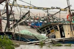 M&oacute;ng C&aacute;i tan hoang kh&ocirc;ng nhận ra sau b&atilde;o số 1