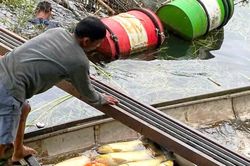 C&aacute; nu&ocirc;i lồng chết h&agrave;ng loạt bất thường tr&ecirc;n s&ocirc;ng ở TP. Huế