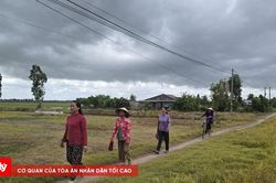 Cần lắm một con đường giao thông nông thôn