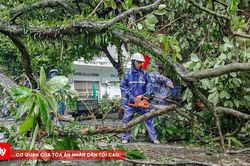 B&atilde;o số 1 g&acirc;y thiệt hại khoảng 20 tỷ đồng tại Quảng Ninh
