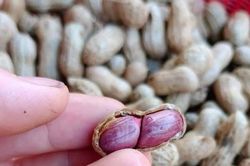 Loại hạt được ca ngợi 'vua dinh dưỡng' nhưng 2 nhóm người nên tránh xa