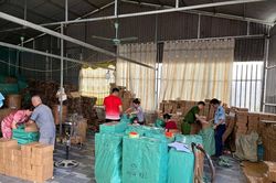Phát hiện cơ sở sản xuất trà giả quy mô lớn, phê chuẩn khởi tố một đối tượng
