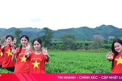 Trải nghiệm đồi chè Hương Đô