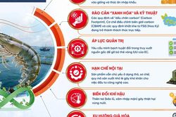 Ngành thủy sản vươn mình thành 'trụ cột xanh' của nền nông nghiệp Việt Nam