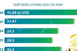 6 tháng của năm 2026, xuất khẩu nông, lâm, thủy sản đạt gần 35,9 tỷ USD
