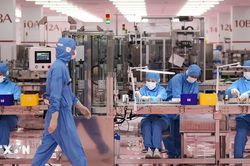 Doanh nghiệp Nhật Bản hướng tới năm lợi nhuận kỷ lục thứ 6 liên tiếp