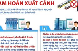 Các trường hợp tạm hoãn xuất cảnh quy định tại Luật Quản lý thuế