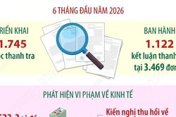 Thanh tra phát hiện vi phạm về kinh tế hơn 44.600 tỷ đồng trong 6 tháng