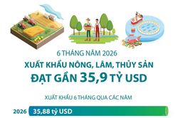 Sáu tháng năm 2026: Xuất khẩu nông, lâm, thủy sản đạt gần 35,9 tỷ USD