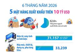 Sáu tháng năm 2026: 5 mặt hàng xuất khẩu trên 10 tỷ USD