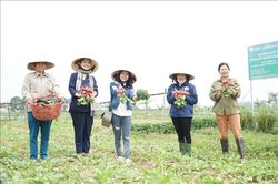 Du lịch xứ Nghệ khắc phục khoảng trống mùa vụ
