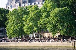 Từ dòng nước ô nhiễm, sông Seine trở thành điểm bơi lội hấp dẫn nhất Paris