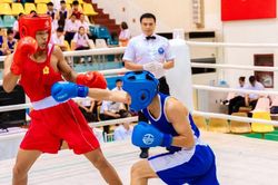 Hơn 500 vận động viên tham dự Giải vô địch Boxing trẻ toàn quốc năm 2026