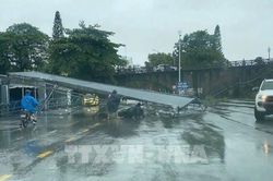 Khắc phục hậu quả bão số 1: Quảng Ninh dồn lực sớm ổn định cuộc sống