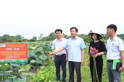 Sở Nông nghiệp và Môi trường Hà Nội chặn hàng kém chất lượng vào thị trường