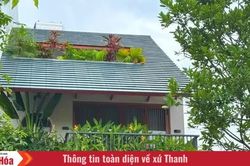 “Khoảng xanh” trong những ngôi nhà phố